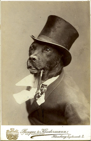 Illustration for article titled Even In The 1900s, Humans Were Obsessed With Photos Of Dogs In Clothes